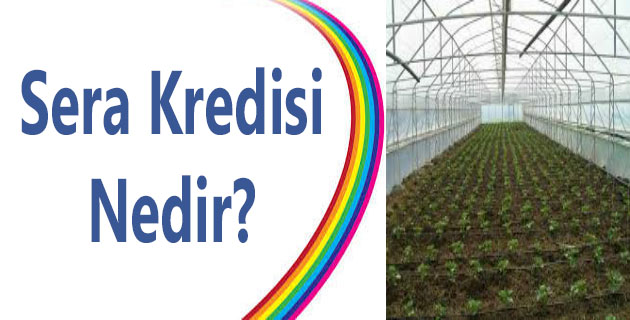 SERA KREDİSİ NEDİR?