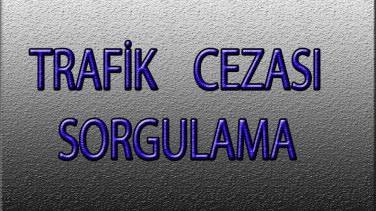 Online Trafik Cezası Nasıl Sorgulanır